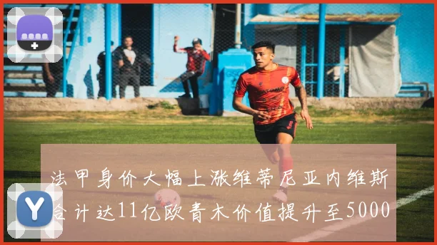 法甲身价大幅上涨维蒂尼亚内维斯合计达11亿欧青木价值提升至5000万