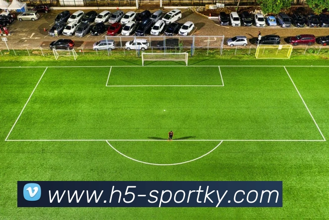 开云体育平台生态图